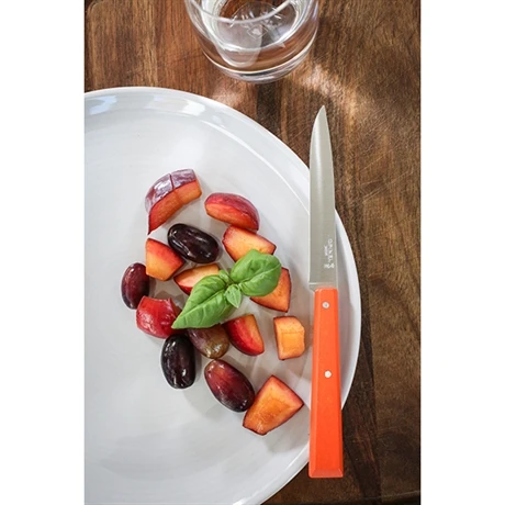 Opinel Coffret 4 Couteaux De Table Pop – Image 5